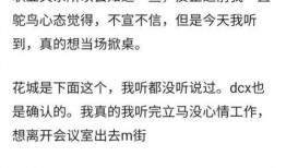 张凌赫爆料最新,揭秘娱乐圈不为人知的幕后真相